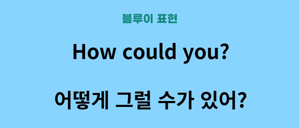 외국어 공부 영어 배우기 디즈니 플러스 블루이 표현