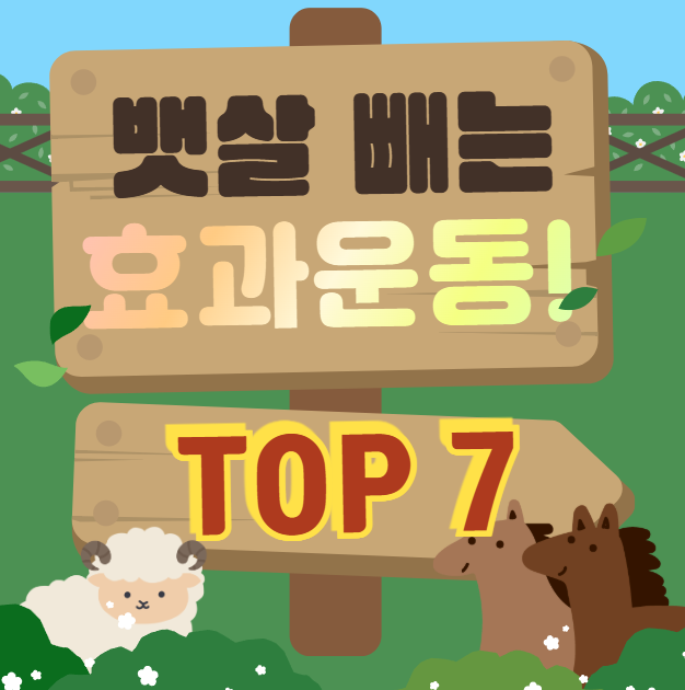 뱃살빼는효과적인운동 추천