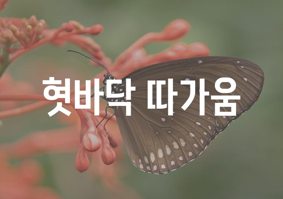 샘플 (51)