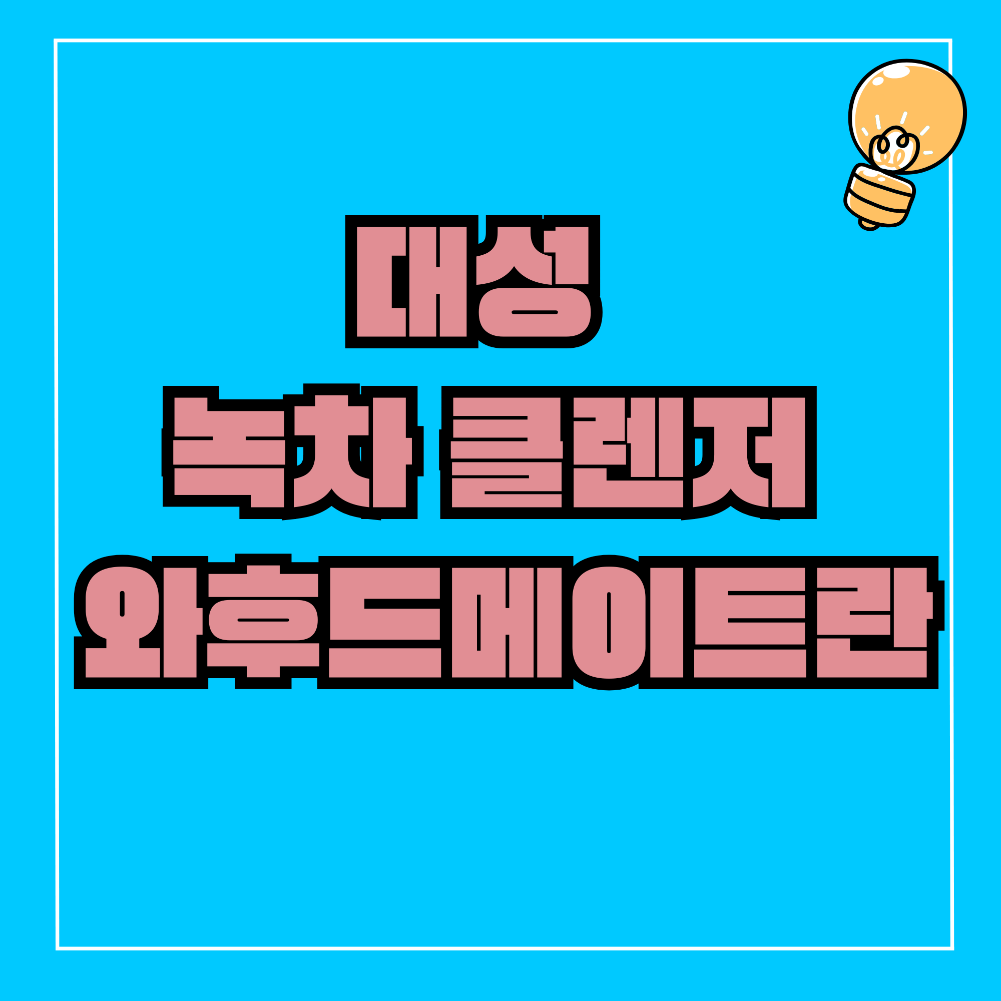 대성 녹차 클렌저