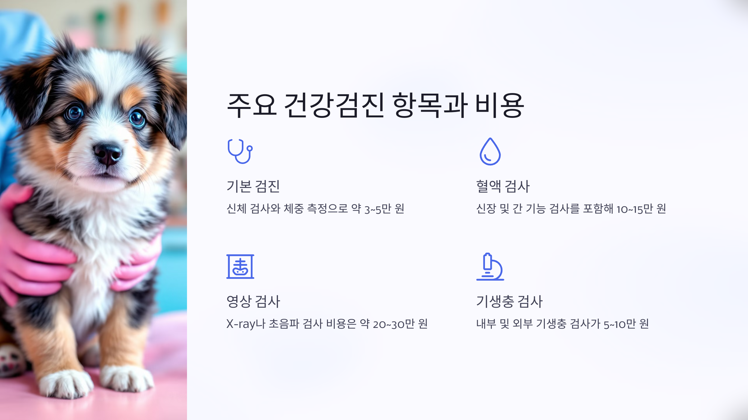 강아지 건강검진 주요 항목과 평균 비용