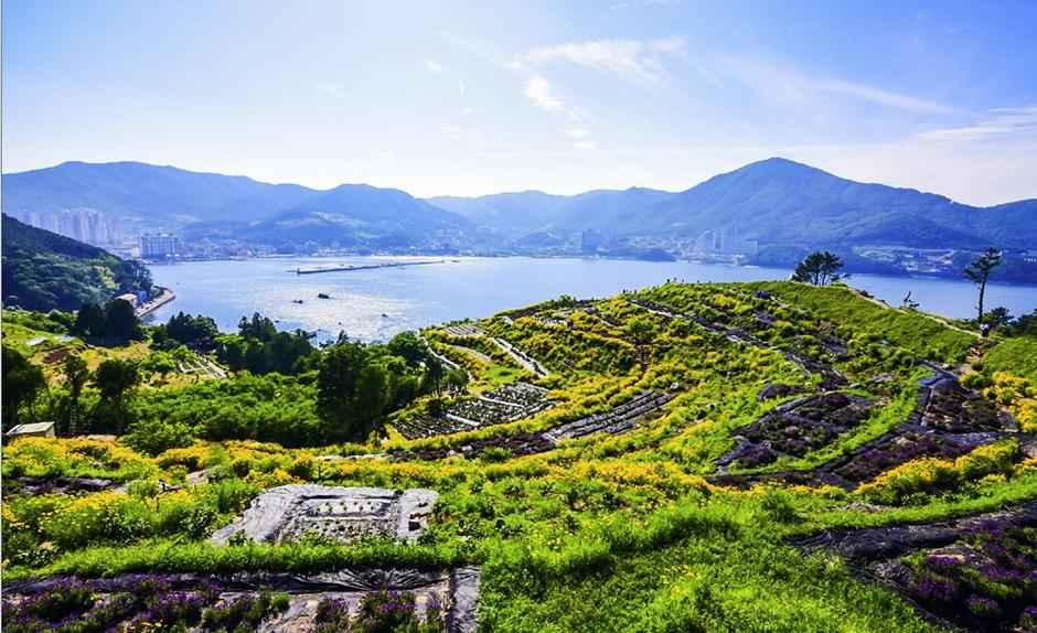 지세포진성 꽃동산