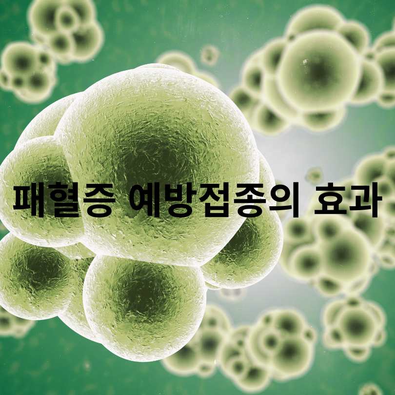 패혈증 예방접종 완벽 가이드