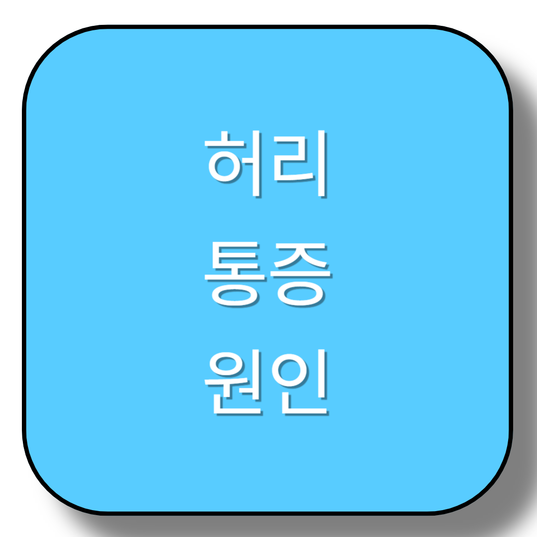허리통증원인
