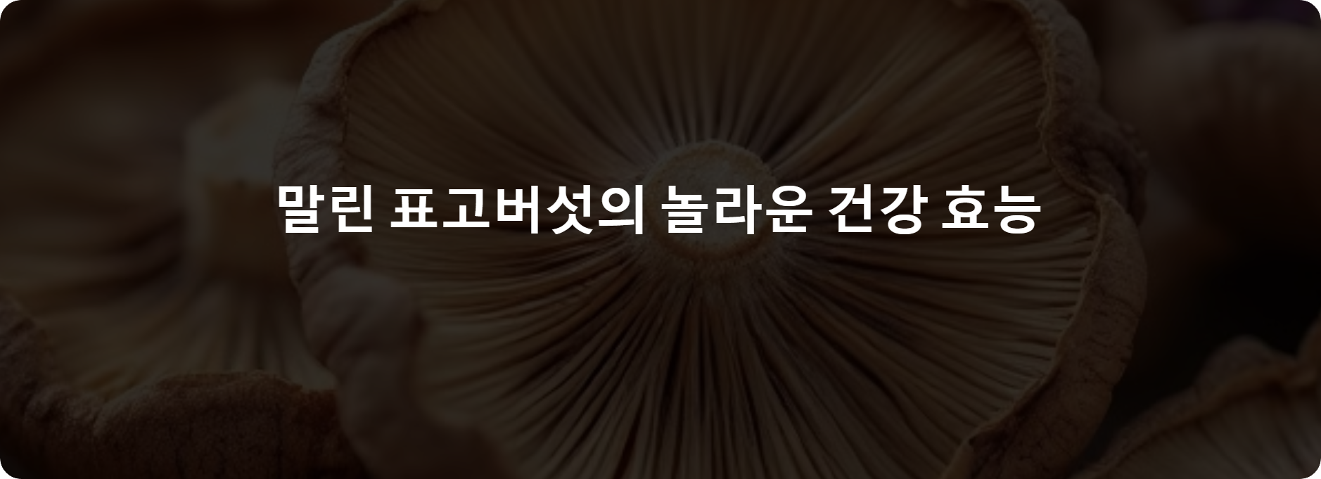 말린 표고버섯