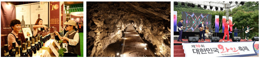 와인축제광경