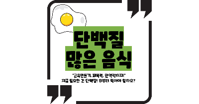 단백질 많은 음식