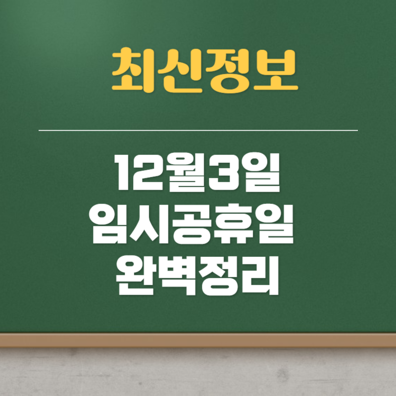 12월3일 임시공휴일