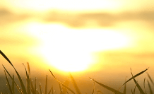 해(태양)가 사라지는 꿈해몽