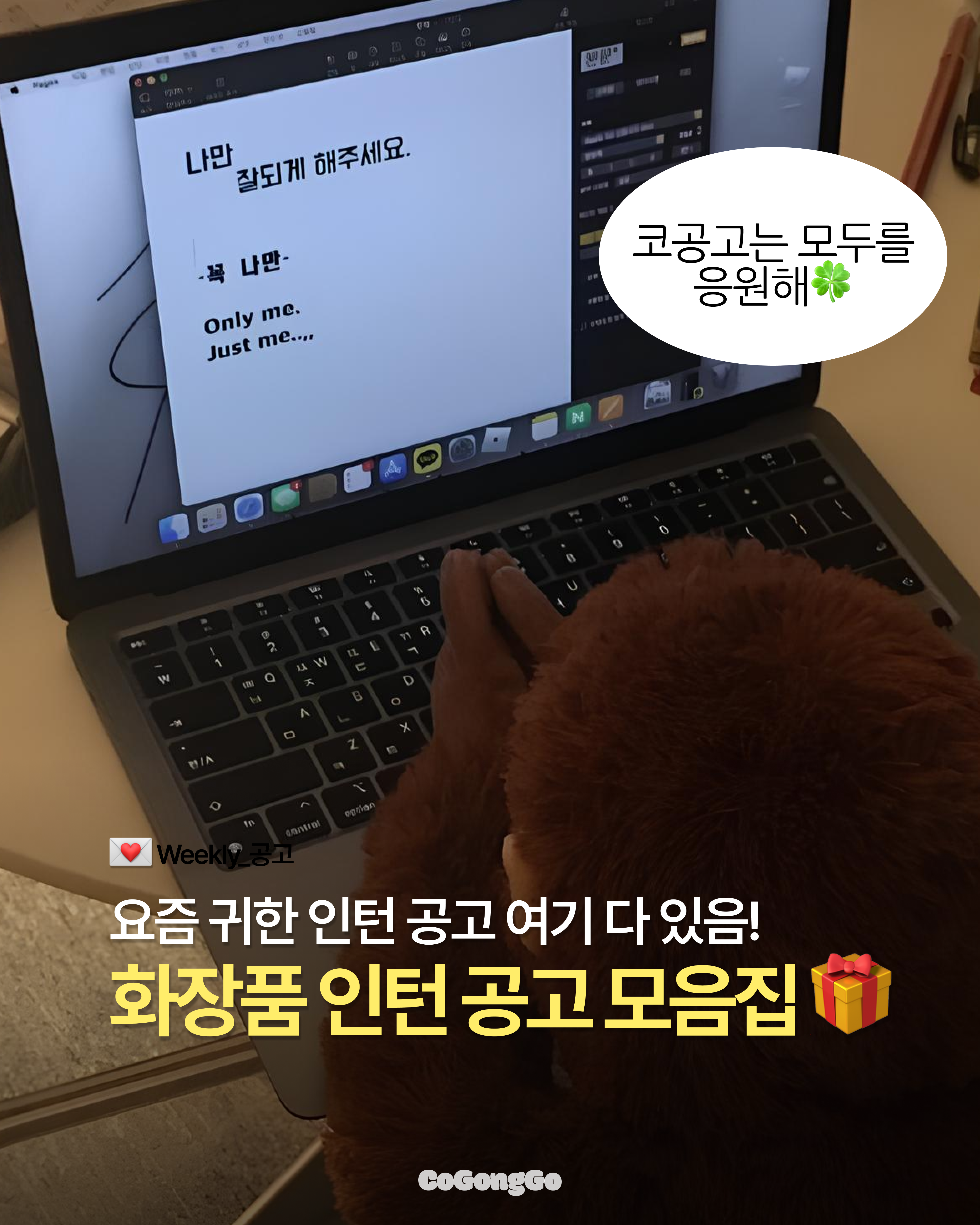 화장품 인턴 공고 모음