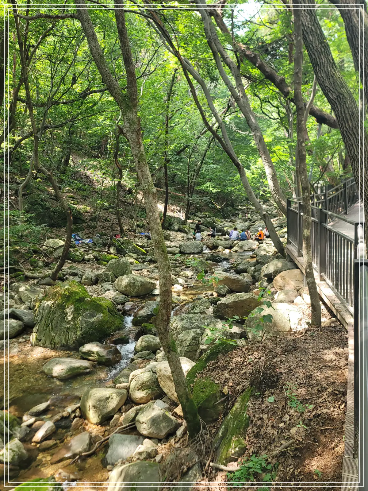 용문사-20250808_134608