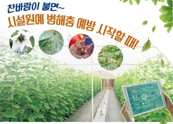 농사 병해충 예방법 진딧물 응애 노균병 탄저병 대처_18
