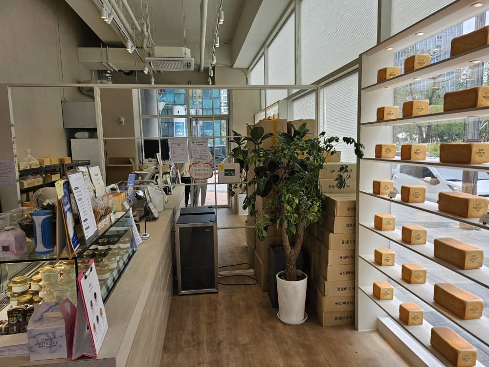 송도 화이트리에