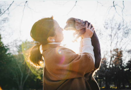 이른 아침이나 해 질 무렵으로 산책