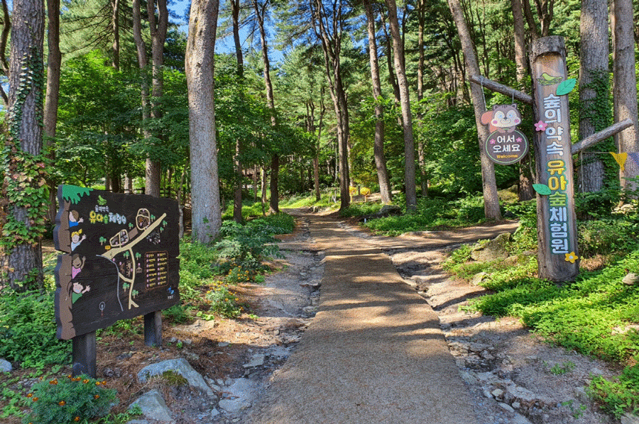 숲의 약속 (환경성질환예방관리센터)
