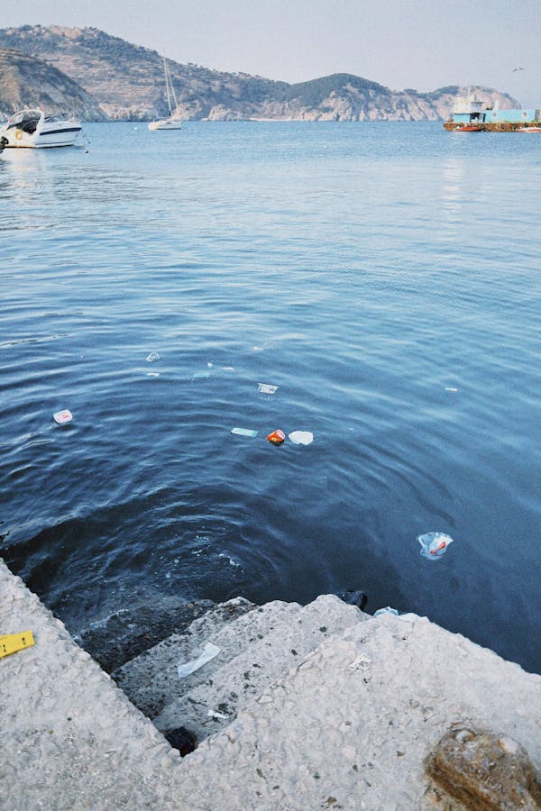 "해양 환경에서 미세 플라스틱의 물리적, 화학적 변화"