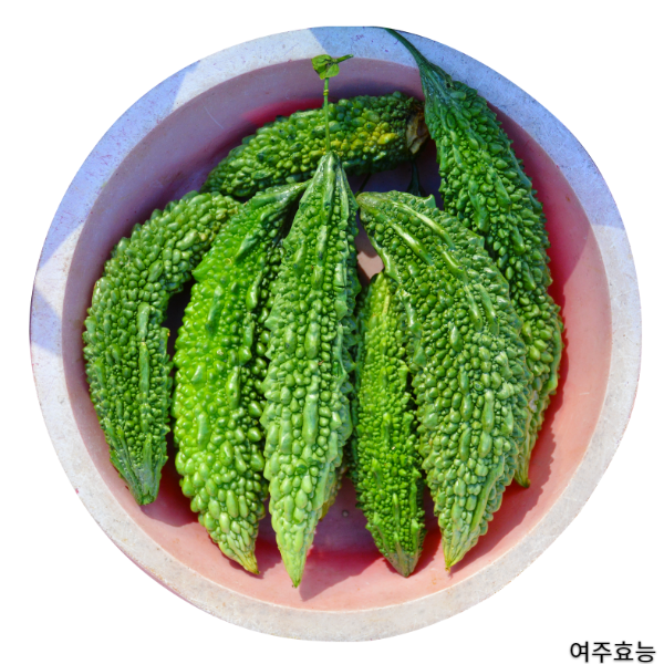 여주 효능 : 여주의 다양한 효능 알아보기