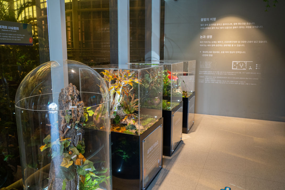 국립 농업 박물관 곤충관