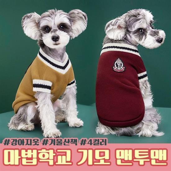 강아지 겨울옷