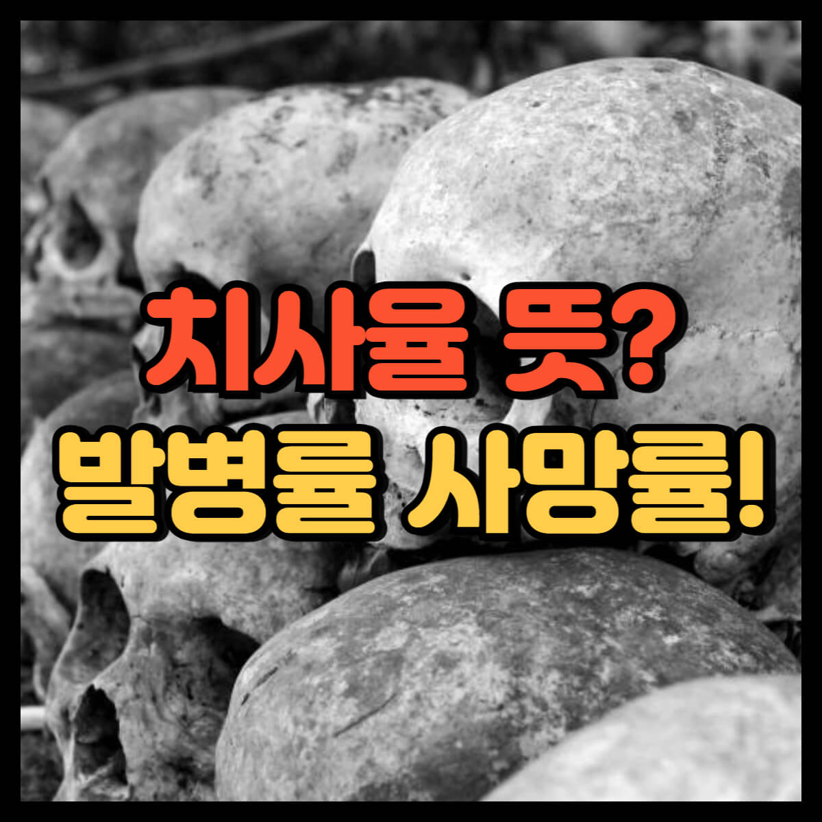 치사율 뜻