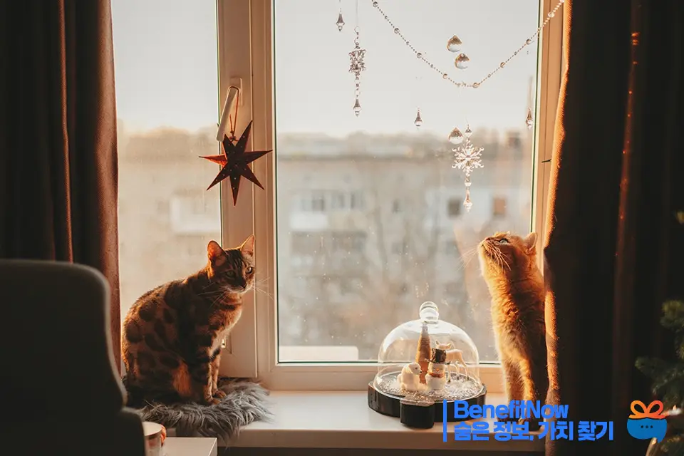 에너지 바우처 신청방법