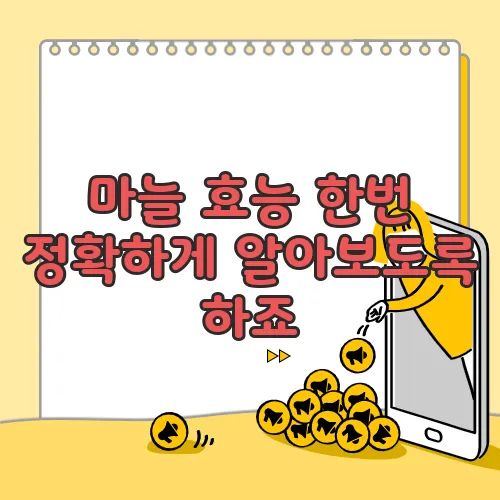 마늘 효능 한번 정확하게 알아보도록 하죠