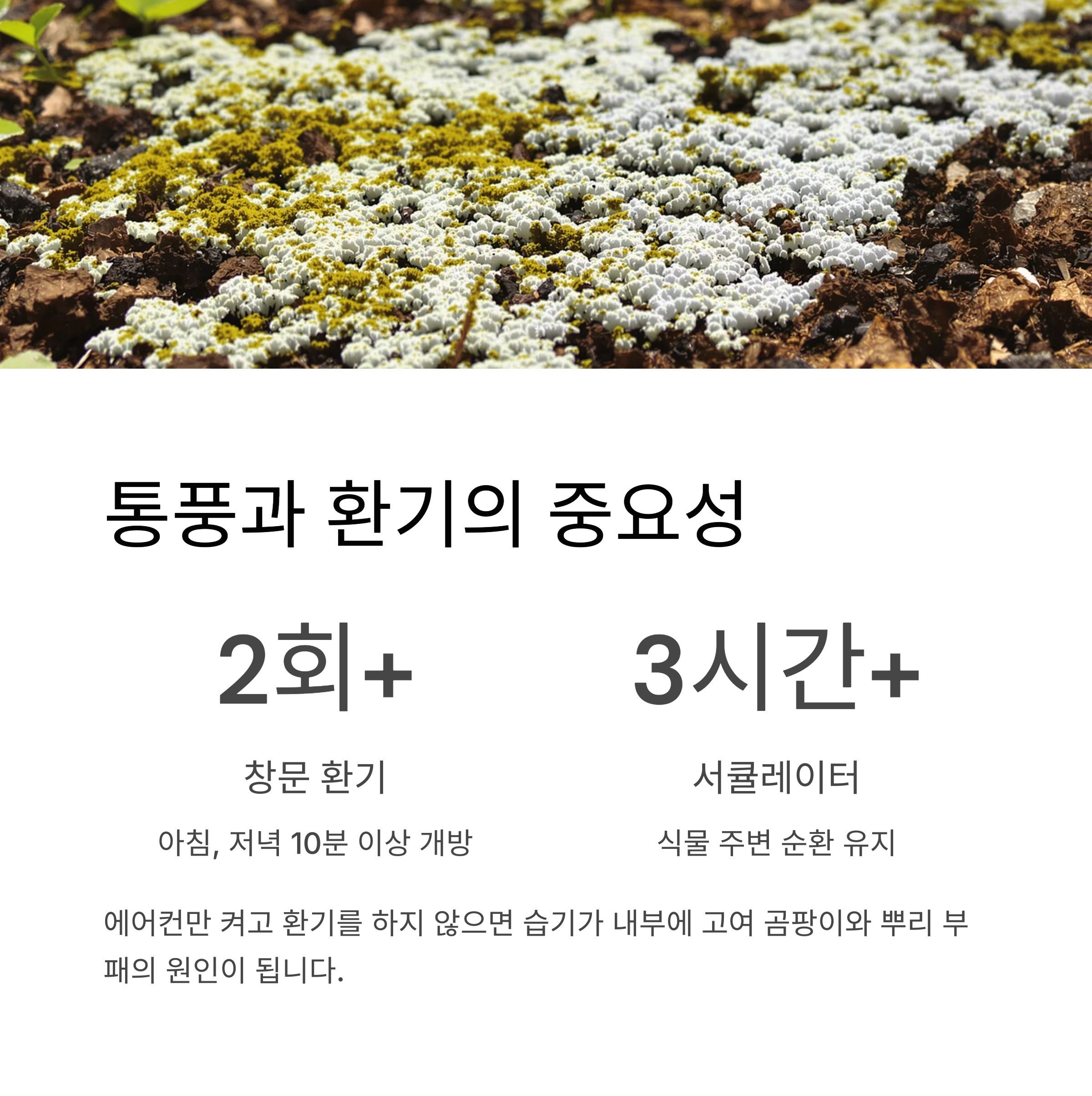 통풍과 환기의 중요성