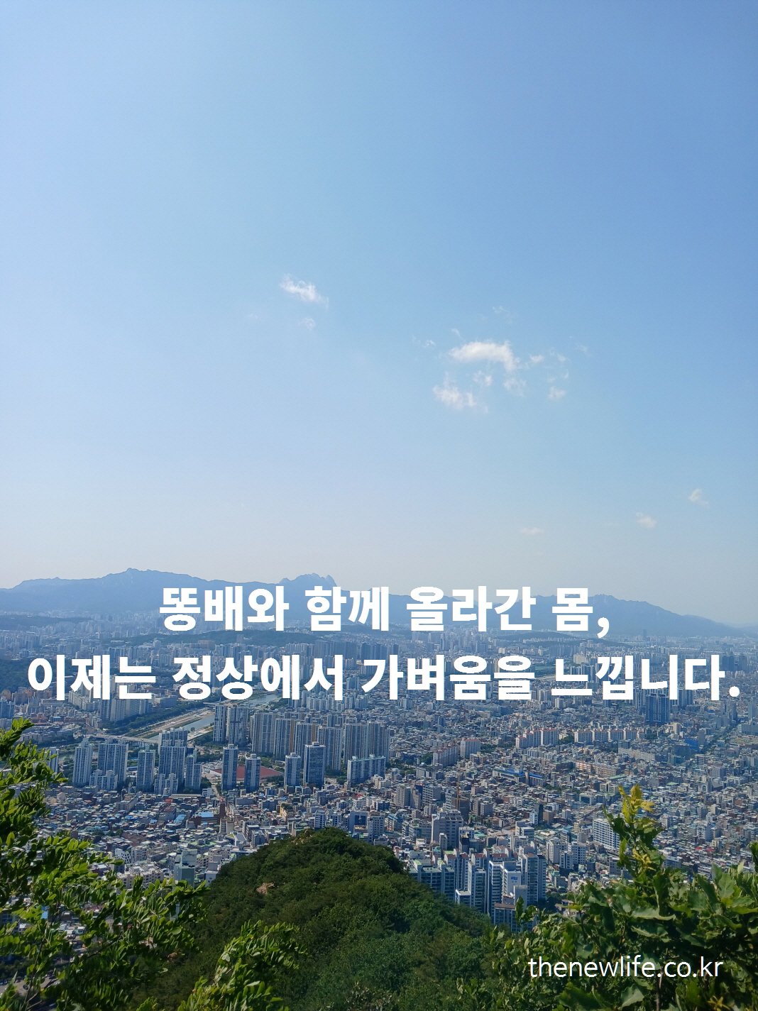 "View from Yongmasan Peak overlooking Seoul, with a motivational flat belly message: 'After climbing with belly fat, now I feel light at the summit.'"-"용마산 정상에서 바라본 서울 전경 – 똥배와 함께 올랐던 몸이 이제는 정상에서 가벼움을 느낍니다."