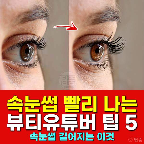 속눈썹 빨리 자라는 법,속눈썹 길어지는법,속눈썹 영양제,파자마오일
