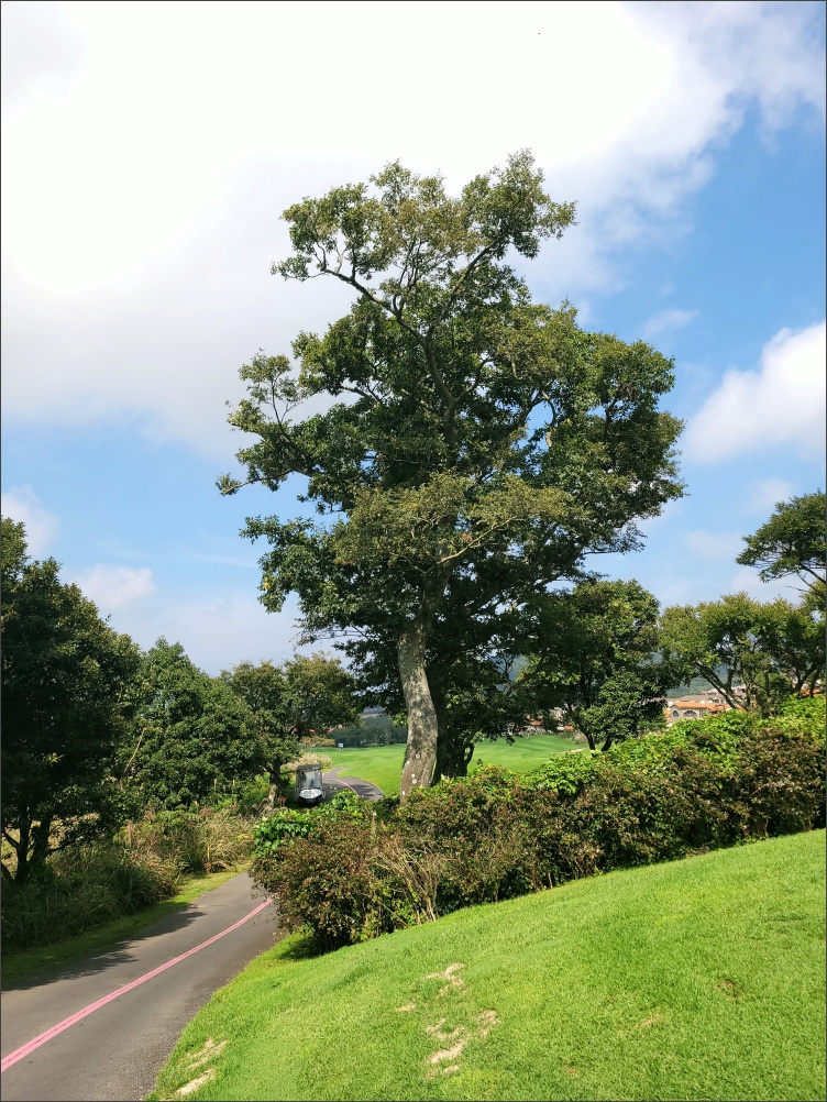 제주아덴힐CC-라운딩3