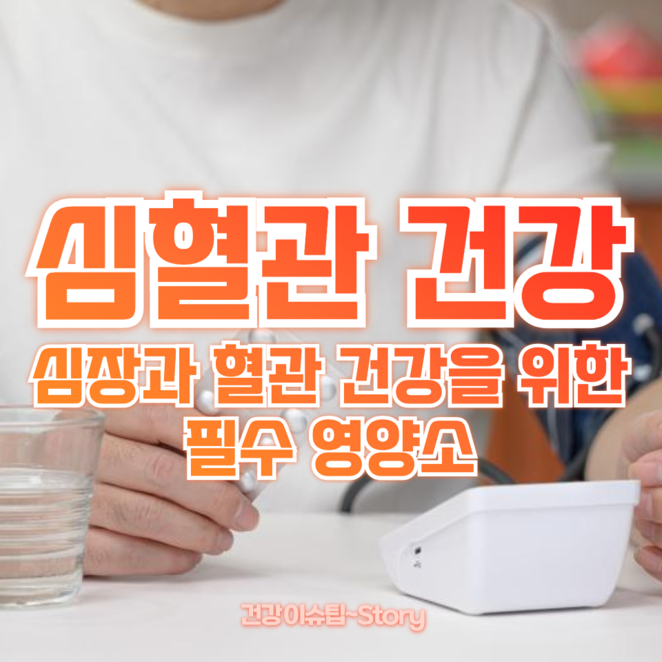 심혈관 건강