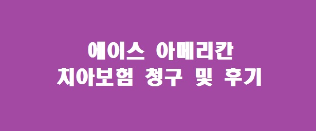 에이스아메리칸 치아보험