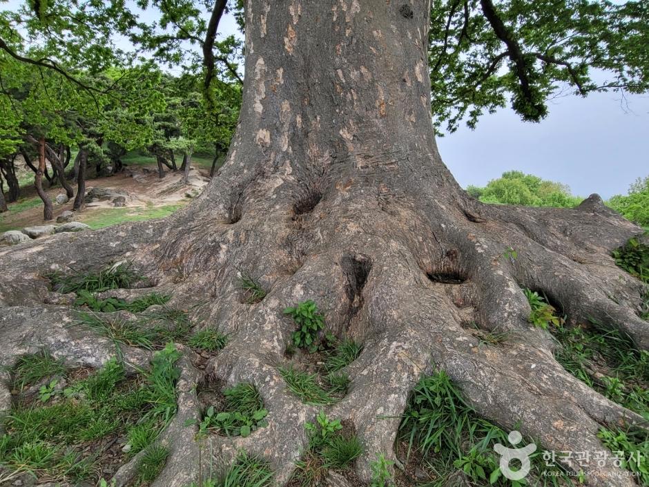 부여 가볼만한곳 베스트10