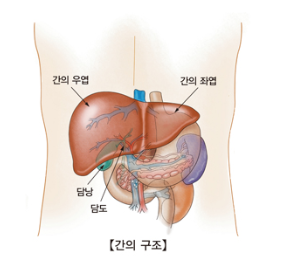 지방간이란