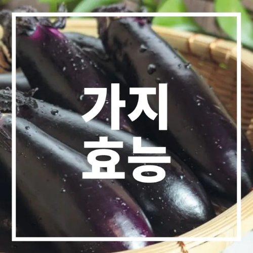 가지효능