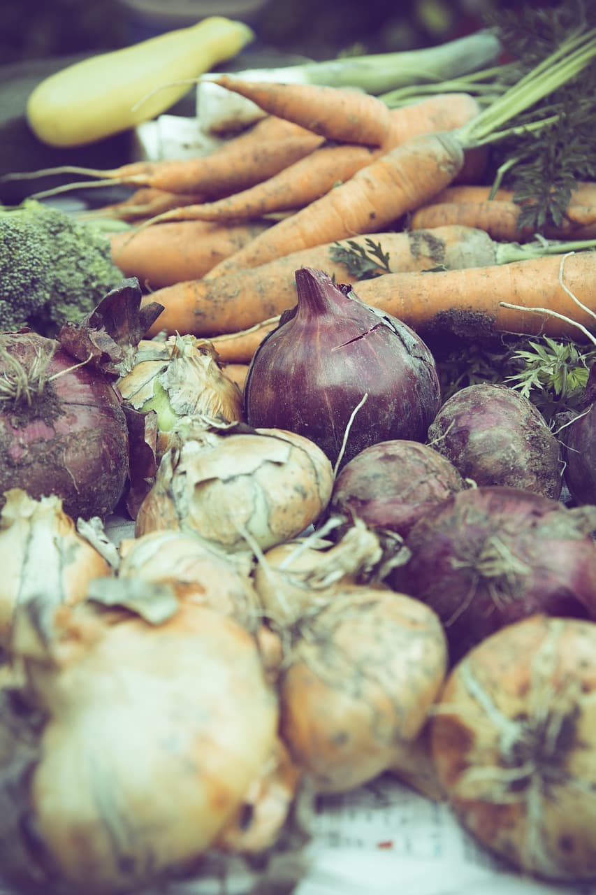 자급 채소가 주는 심리적 소비 안정 효과