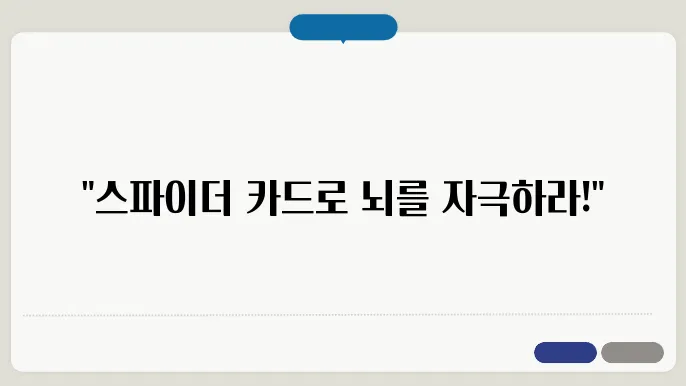 스파이더 카드놀이