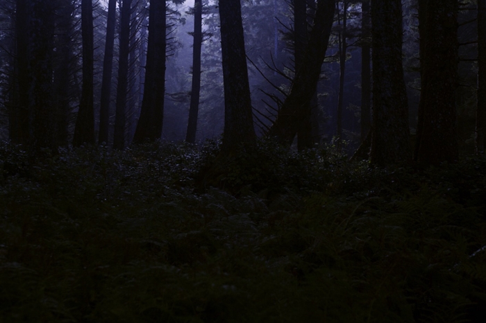 아시아 공포 영화 관련 사진