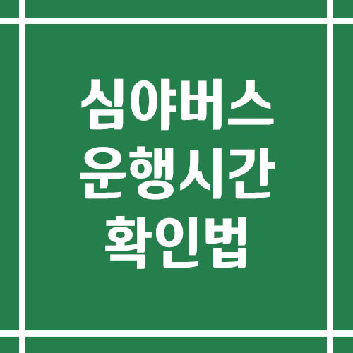 심야버스 운행 시간 확인법