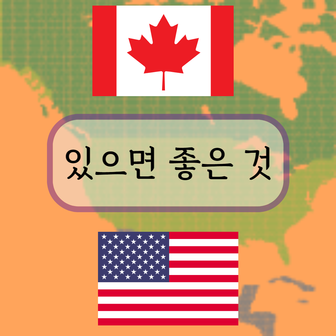미국,캐나다여행에 있으면 좋은 것-상비약,필름카메라