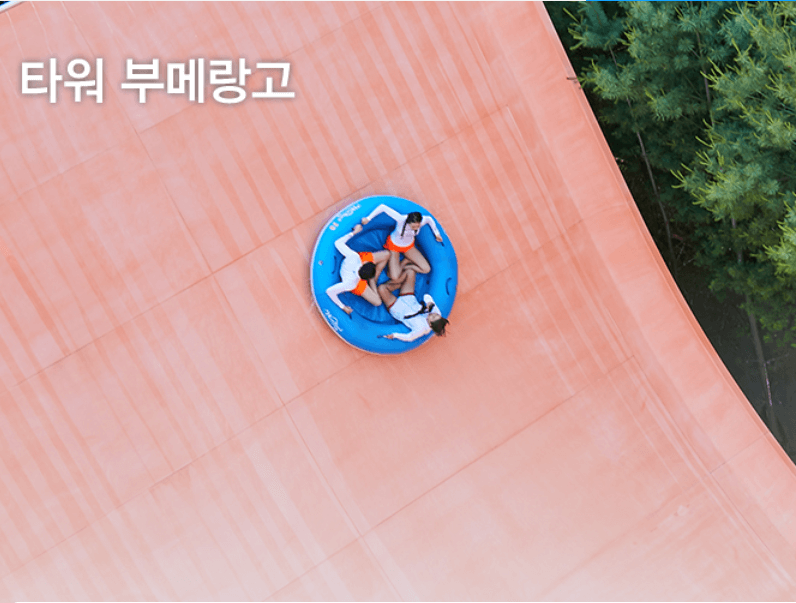 캐리비안 준비물 및 입장권 할인 방법