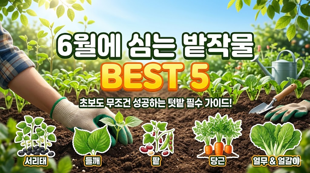6월에 심는 밭작물