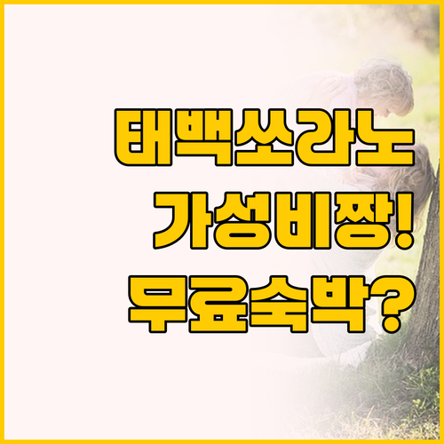 태백 관광 호텔 쏘라노 추천 이유 가..