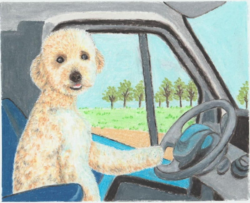 하늘밑에 나무가 있는 배경에 베이지 색깔의 복실복실한 개가 우전대 위에 발을 얹고 있는 그림 완성