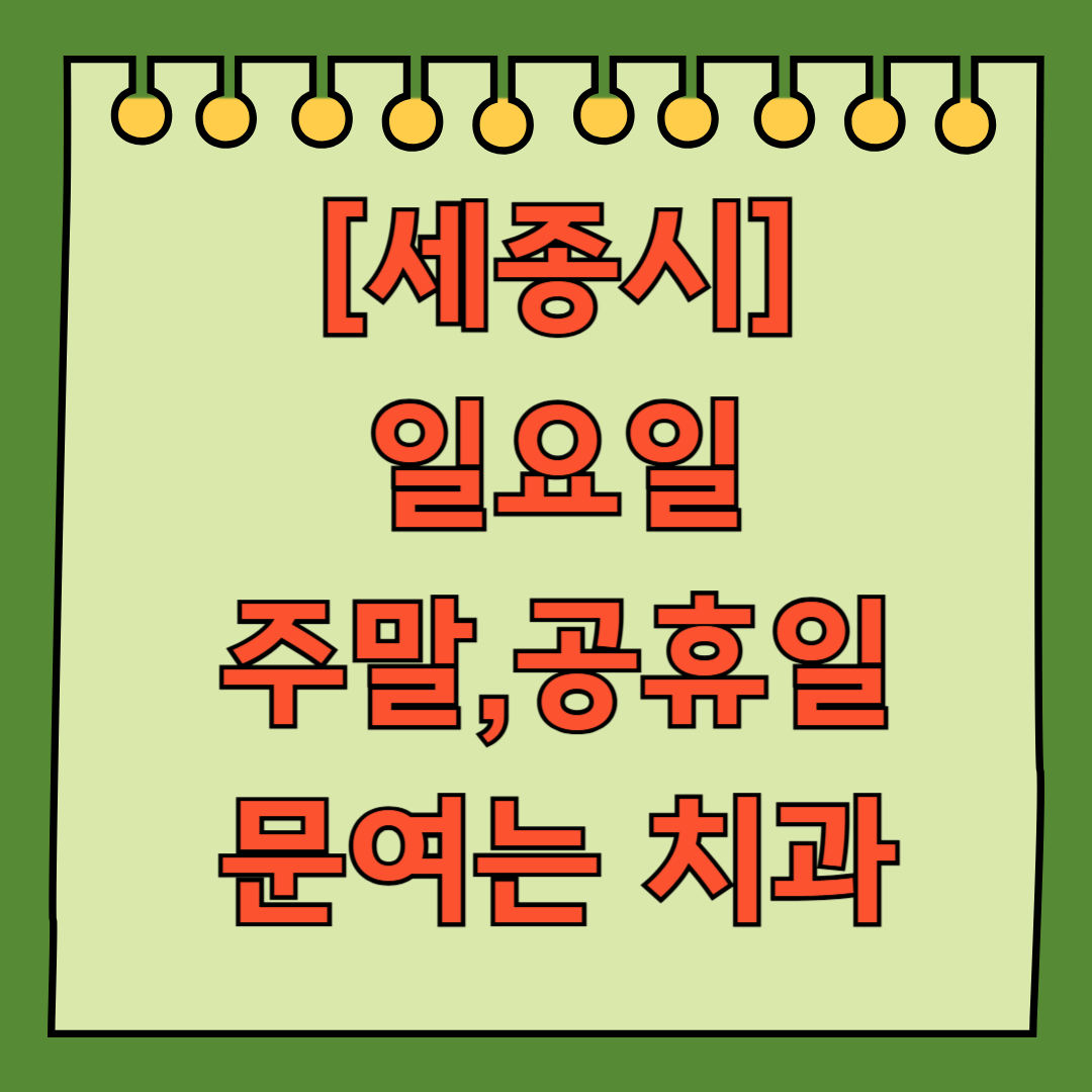 세종시 일요일 문 여는 치과 목록 ❘ 공휴일 주말 야간진료 병원 찾기