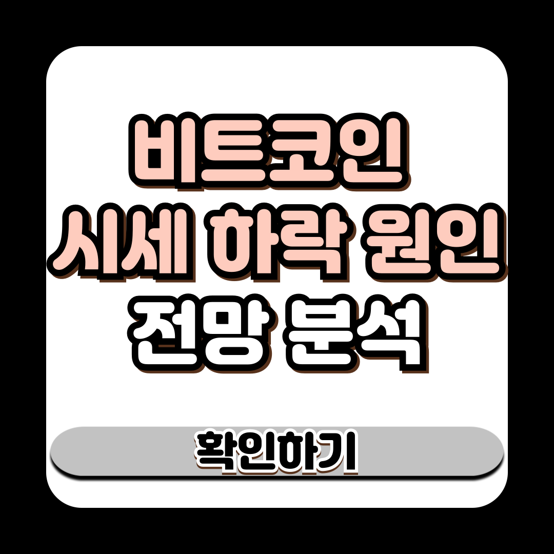 비트코인 시세 하락 원인과 전망 분석