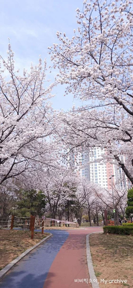 부평열우물숲