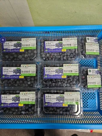 로컬푸드 출하 절차 등급 선별 라벨 위생 기준_22