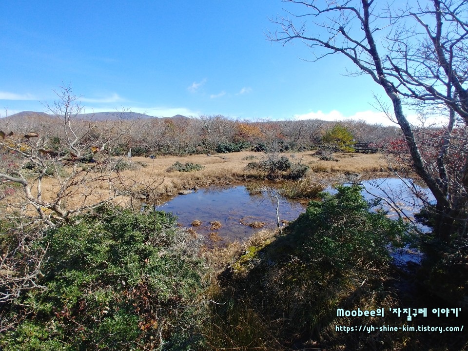 제주도 1100고지