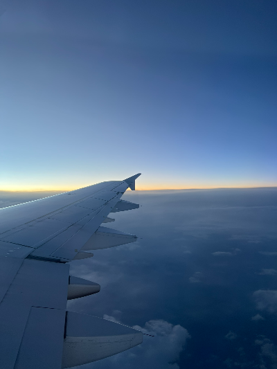 하늘과 비행기 사진